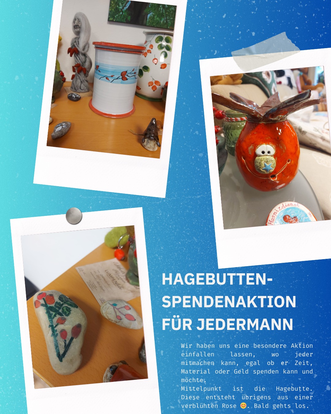 Hagebuttenspenden Aktion 